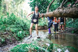 BIB: 
                            <button type="button" onclick="openModal(25477948)" class="btn btn-primary btn-sm float-right btn-popup" data-toggle="modal" data-target=".modal-high-quality">
                        <i class="fas fa-shopping-cart"></i> Add to Cart
                    </button>
                                            <button type="button" onclick="isThisMe(25477948, true)" class="btn btn-success btn-sm float-right btn-popup btn-isme hidden" data-toggle="tooltip" data-placement="bottom" title="นี่คือรูปของคุณใช่ไหม คลิกที่นี่เพื่อเอาเข้าอัลบั้ม">
                        <i class="fas fa-plus"></i> Add to album
                    </button>
                    <button type="button" onclick="isThisMe(25477948, false)" class="btn btn-warning btn-sm float-right btn-popup btn-isnotme hidden">
                        <i class="fas fa-ban"></i> Remove from album
                    </button>